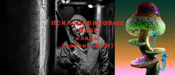соль ск Инта